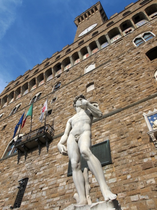 A Palazzo Vecchio - Michelangelo Dávid-dal