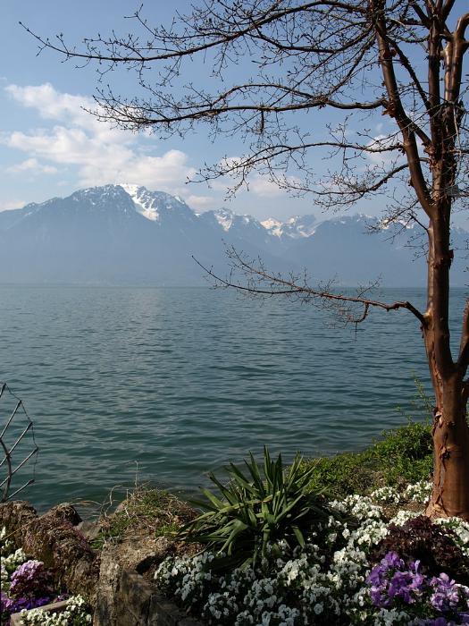 A Genfi-tó Montreaux-nél